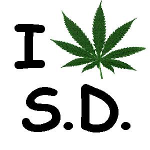 san-diego-marijuana