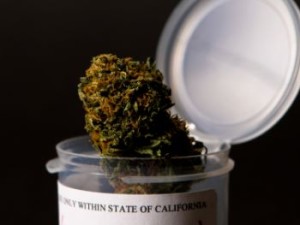 CA medical marijuana in jar