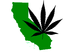CA Marijuana