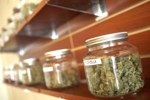 Marijuana jars in dispensary