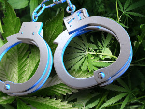 Marijuana Handcuffs