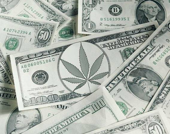 marijuana leaf money