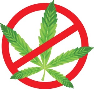 no weed