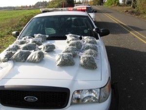 weed on cop car