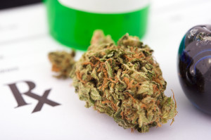 medical marijuana rx