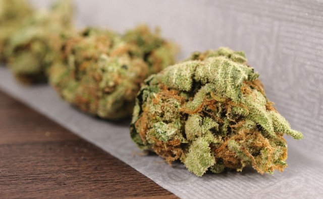 Marijuana nugs in rolling paper