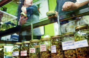 medical marijuana dispensary jars