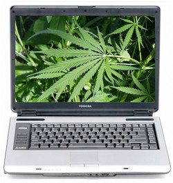 Marijuana Internet