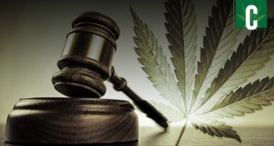 Marijuana-court