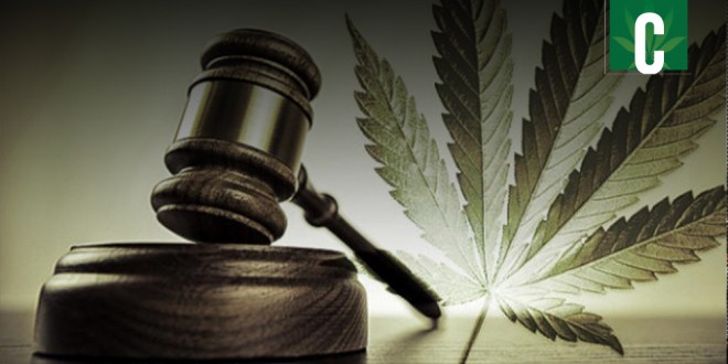 Marijuana-court