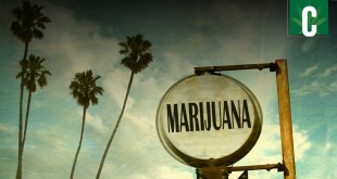 California-Marijuana