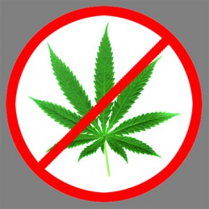 Marijuana Leaf Crossed Out