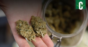 California-Marijuana-Legalization