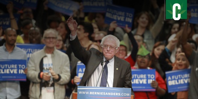 Bernie Sanders urges California to legalize