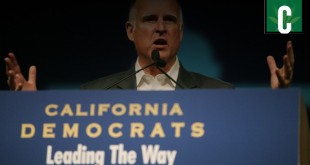 California Democrats Endorse Legalization