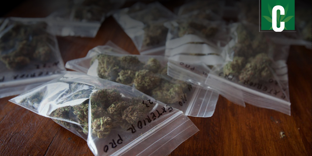 Dispensary Owner Shoots Robbers California Marijuana Market