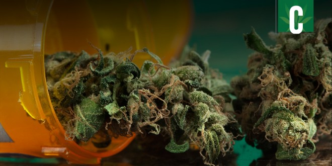 A Marin County hospital could allow medical marijuana use.