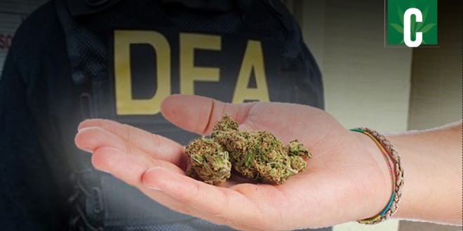 DEA Decision Expected By Reformers