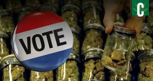 Vote to legalize on Election Day 2016