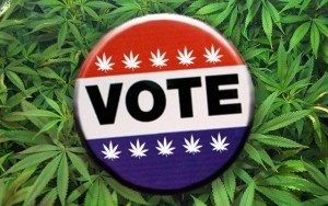 Marijuana Voter Button