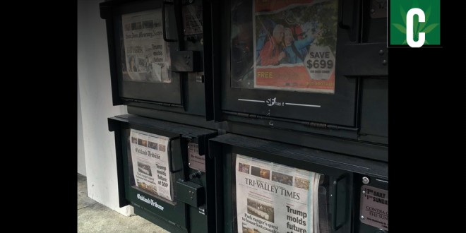 California newspapers support legalization